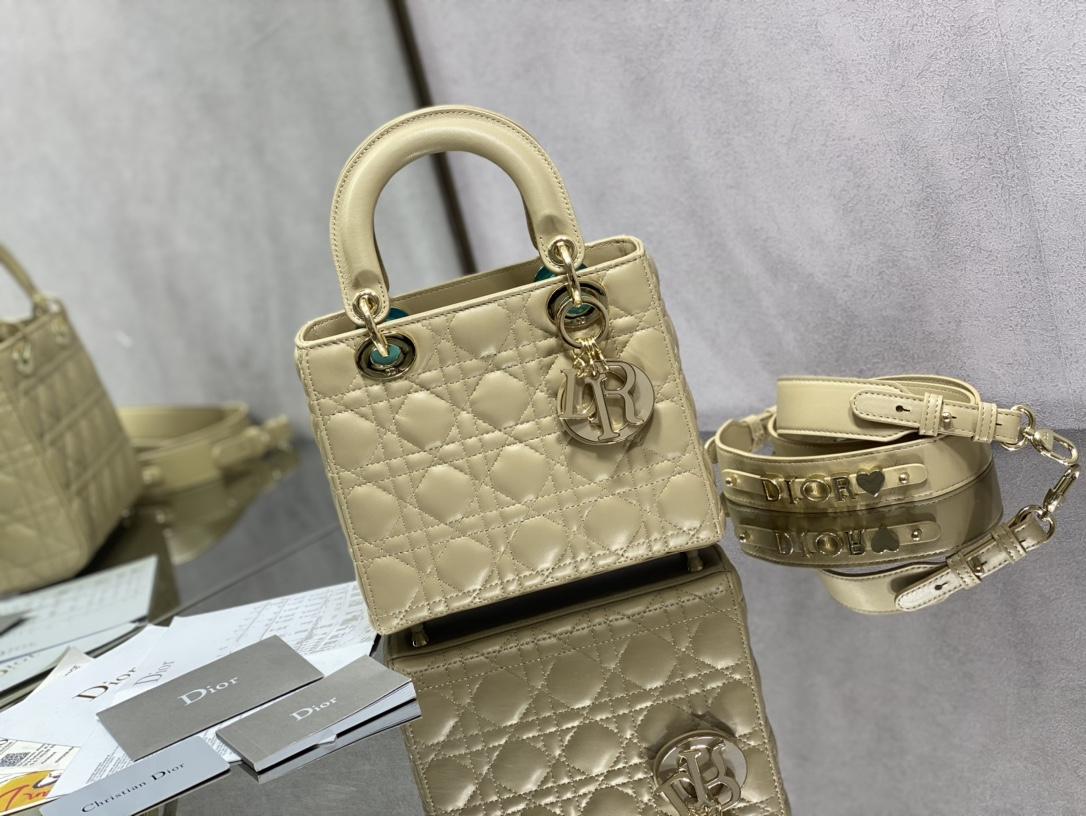 디올 레이디백 (해외배송)