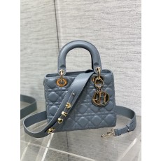 디올 레이디백 (해외배송)