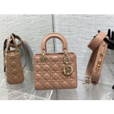 디올 레이디백 (해외배송)