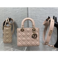 디올 레이디백 (해외배송)