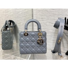 디올 레이디백 (해외배송)