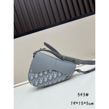 디올 새들백 (해외배송)
