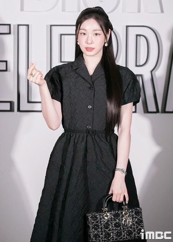 디올 가방 (국내배송)